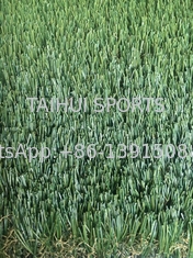 Rumput Sintetis Buatan Lanskap Luar Ruangan Ukuran Kustom 50mm Tahan UV untuk Lapangan Sepak Bola